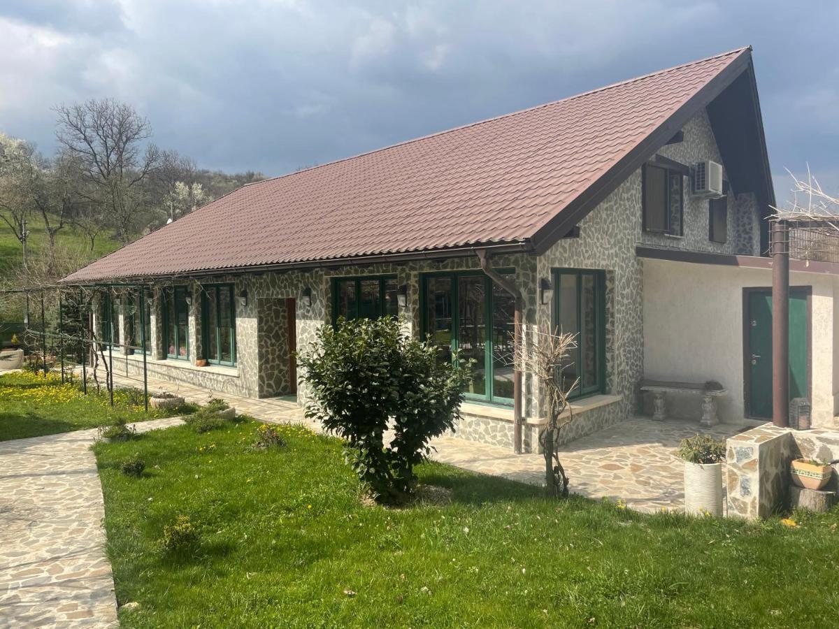 CASA TEODORA ILIA (Romania) - from US$ 219 | BOOKED